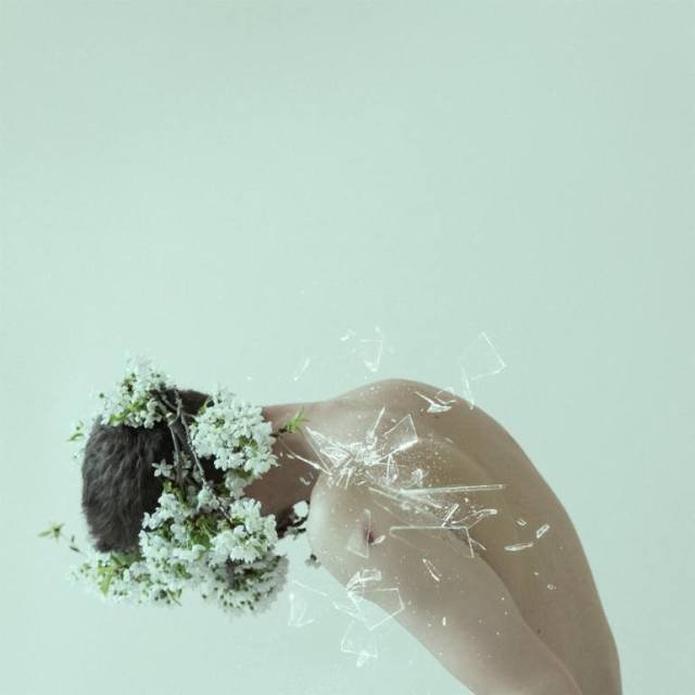 Overgrown - Limited Edition 25 Photography by Martin Stranka Bear, Plane, Icebear, Trees, Winter, Wildanimal, Animal, Forest, Autumn, Aviation, Mood, Nature