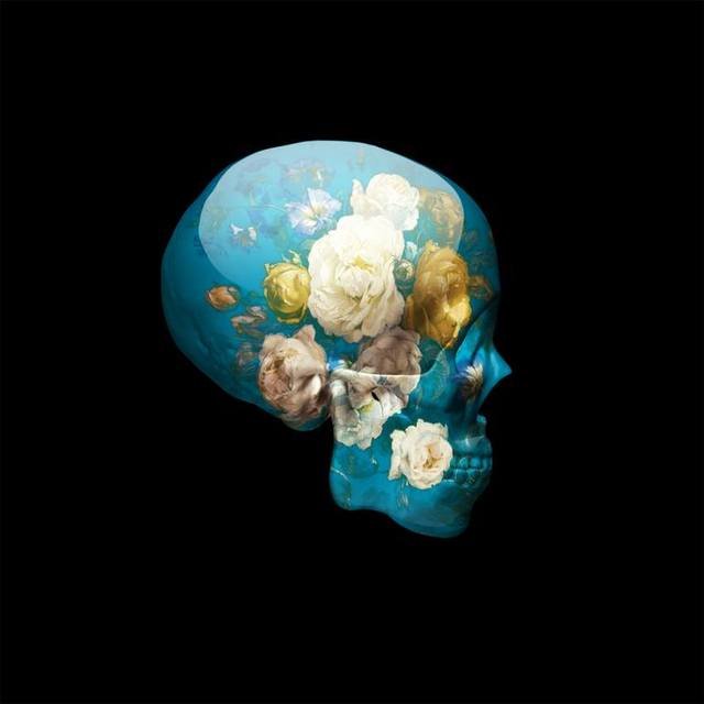 Photography for sale online