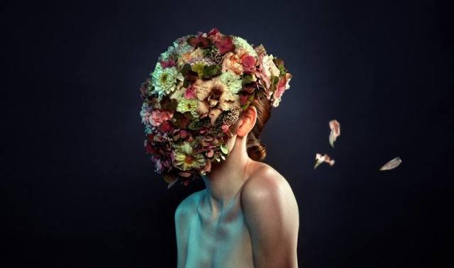 Bear, Plane, Icebear, Trees, Winter, Wildanimal, Animal, Forest, Autumn, Aviation, Mood, Nature