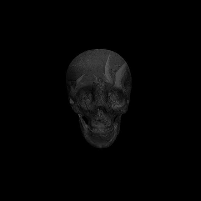 Printmaking for sale by  Magnus Gjoen