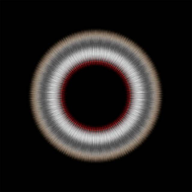 IPSE Photography by Cesar Henao, Buy Art, Art Auctions, Photography for Sale