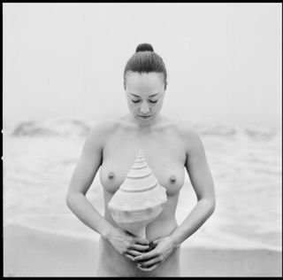 Sepia, Trees, Paris, France, Buildings, City, Fog, Mistycity