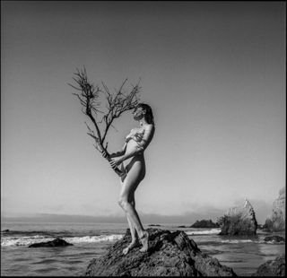 Beach, Rock, Sea, Sky, Body, Branches, Woman, Blackandwhite, Nature, Nude, Ocean
