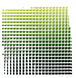 Limited Edition Prints by Dusa Jesih