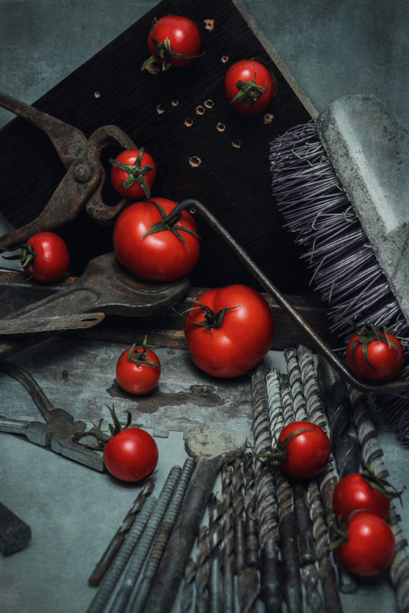 TOMATO by DASHA ART