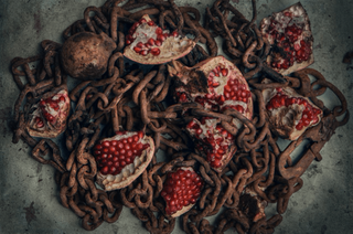 GARNET I Photograph by DASHA ART