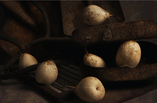 RUST Photograph by DASHA ART