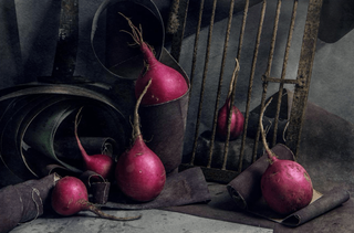 CAPTIVE Photograph by DASHA ART