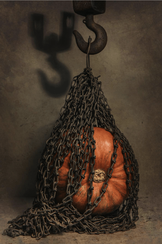 PUMPKIN Photograph by DASHA ART