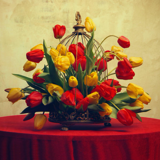 CAPTIVE Photograph by DASHA ART