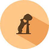 ART INSTALLATIONS SERVICES