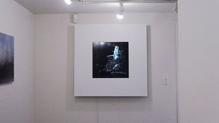 video, art installations, doctors, hotels, galleries, multi media, art for sale