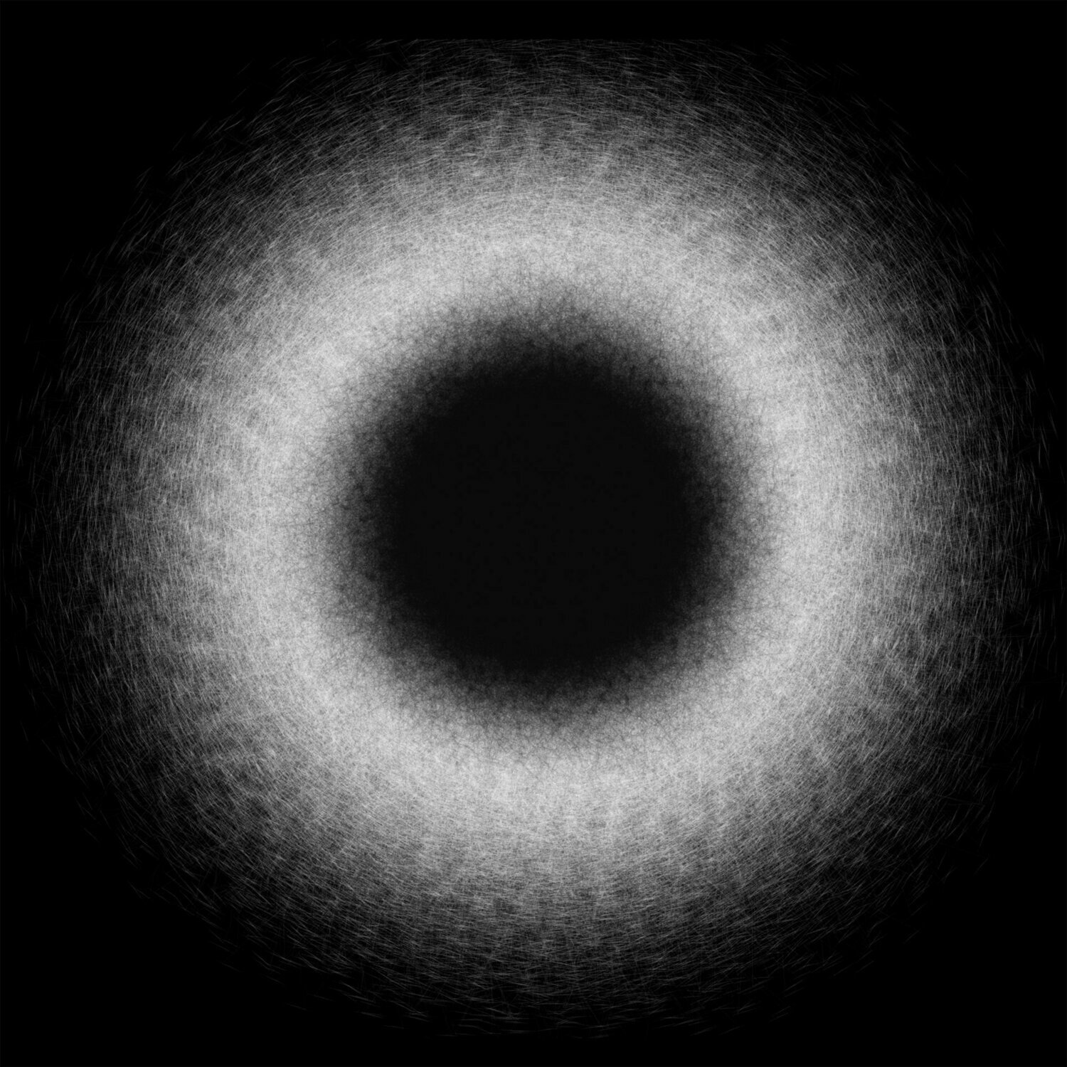 ANI-MOLA Photography by Cesar Henao | France