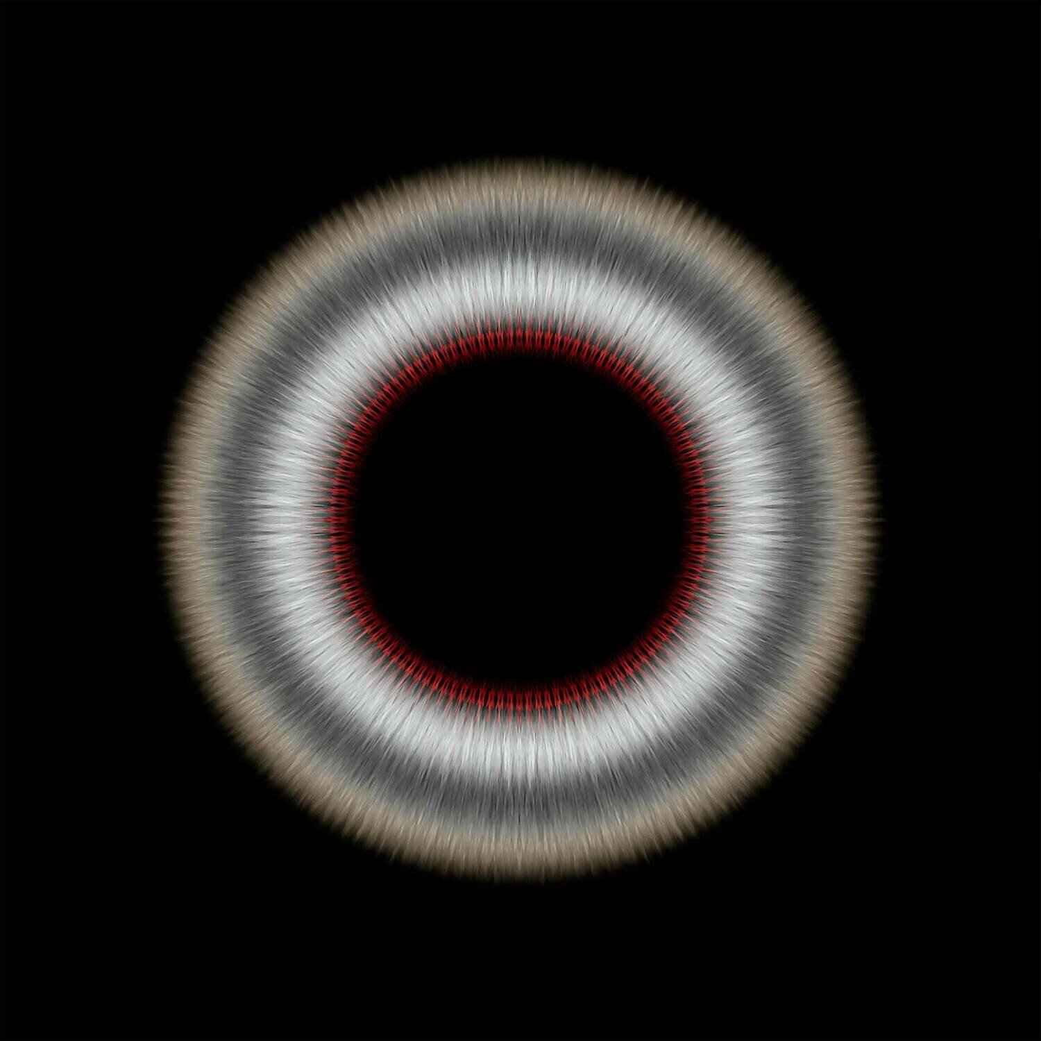 Ipsé  Photography by Cesar Henao | France