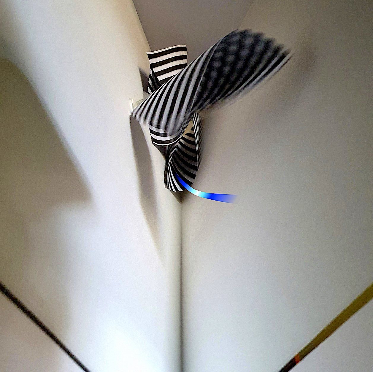 Photography for Sale